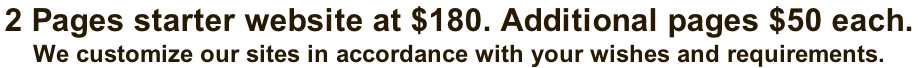 2 Pages starter website at $180. Additional pages $50 each.  We customize our sites in accordance with your wishes and requirements.