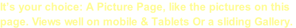It’s your choice: A Picture Page, like the pictures on this  page. Views well on mobile & Tablets Or a sliding Gallery.
